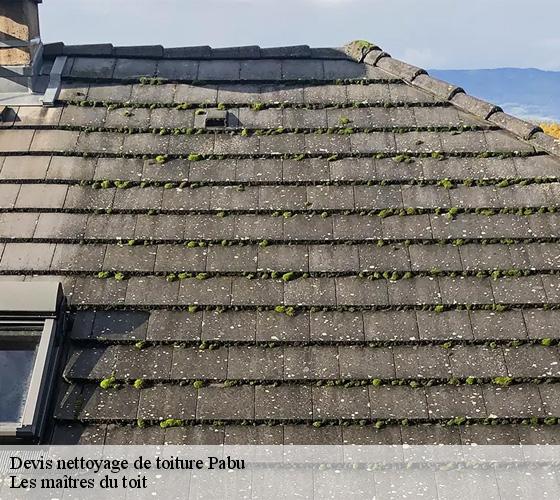 Devis nettoyage de toiture  22200