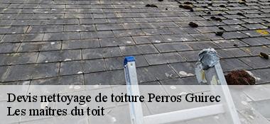 Devis nettoyage de toiture  22700