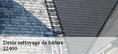 Devis nettoyage de toiture  22400