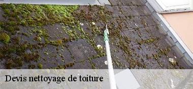 Devis nettoyage de toiture  22400