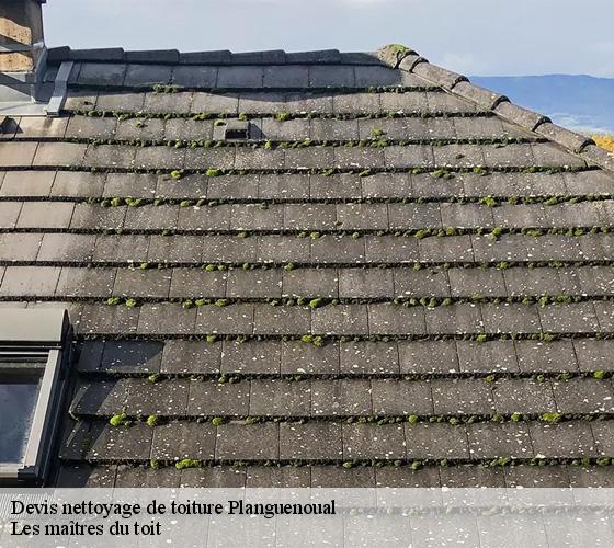 Devis nettoyage de toiture  22400