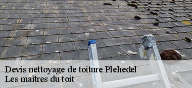 Devis nettoyage de toiture  22290