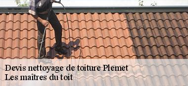Devis nettoyage de toiture 22210