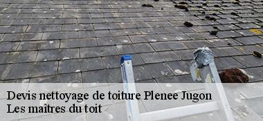 Devis nettoyage de toiture  22640