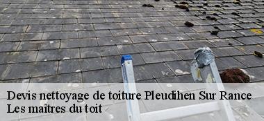 Devis nettoyage de toiture  22690