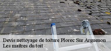 Devis nettoyage de toiture  22130