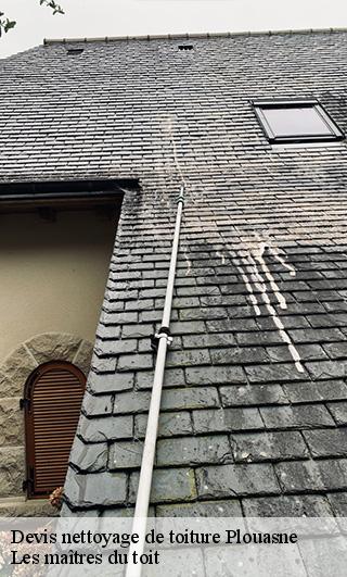 Devis nettoyage de toiture  22830