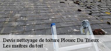 Devis nettoyage de toiture  22260