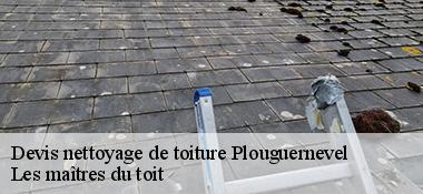 Devis nettoyage de toiture  22110