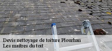 Devis nettoyage de toiture  22410