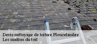 Devis nettoyage de toiture  22420