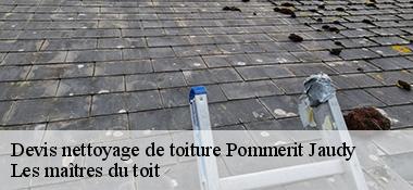 Devis nettoyage de toiture  22450