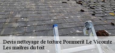 Devis nettoyage de toiture 22200