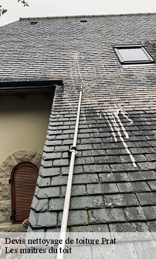 Devis nettoyage de toiture  22140