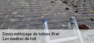 Devis nettoyage de toiture  22140