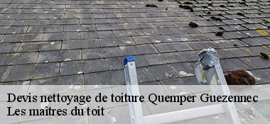 Devis nettoyage de toiture  22260