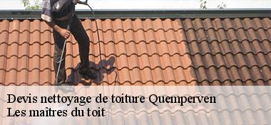 Devis nettoyage de toiture  22450