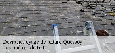 Devis nettoyage de toiture  22120