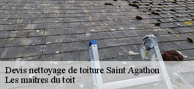 Devis nettoyage de toiture  22200