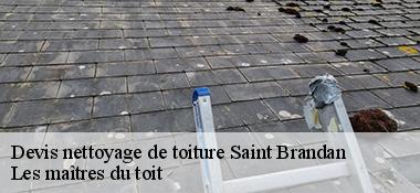 Devis nettoyage de toiture  22800