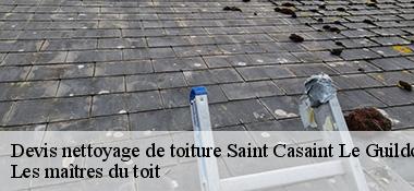 Devis nettoyage de toiture  22380