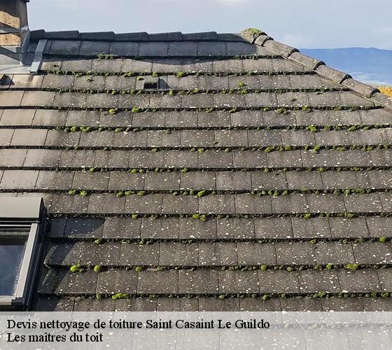 Devis nettoyage de toiture  22380