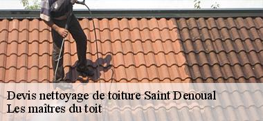 Devis nettoyage de toiture  22400