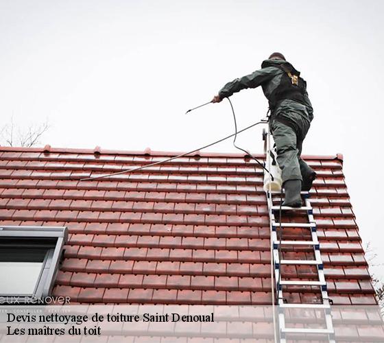Devis nettoyage de toiture  22400