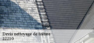 devis-nettoyage-de-toiture