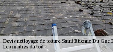 Devis nettoyage de toiture 22210