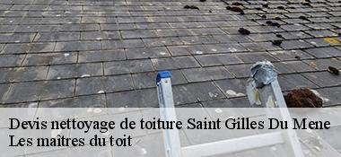 Devis nettoyage de toiture  22330