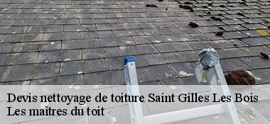 Devis nettoyage de toiture 22290