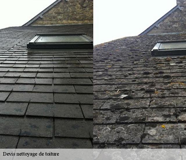 Devis nettoyage de toiture  22480