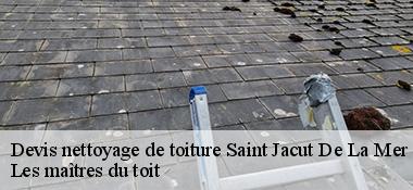 Devis nettoyage de toiture  22750