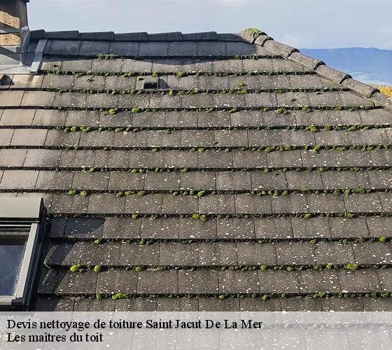 Devis nettoyage de toiture  22750