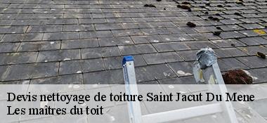 Devis nettoyage de toiture  22330