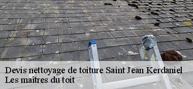 Devis nettoyage de toiture  22170