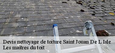 Devis nettoyage de toiture  22350