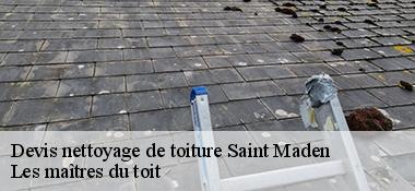 Devis nettoyage de toiture  22350