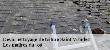 Devis nettoyage de toiture  22980