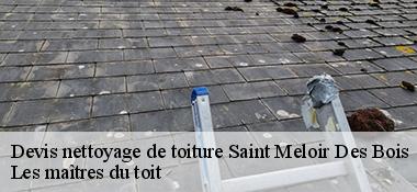 Devis nettoyage de toiture  22980