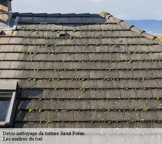 Devis nettoyage de toiture  22550