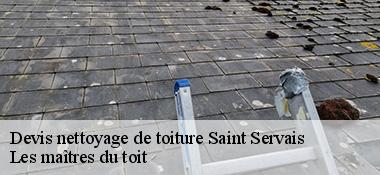 Devis nettoyage de toiture  22160