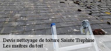 Devis nettoyage de toiture  22480