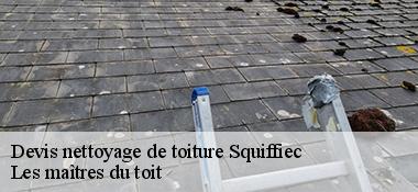 Devis nettoyage de toiture  22200