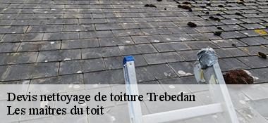 Devis nettoyage de toiture 22980