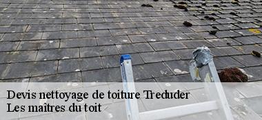 Devis nettoyage de toiture  22310