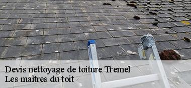 Devis nettoyage de toiture  22310