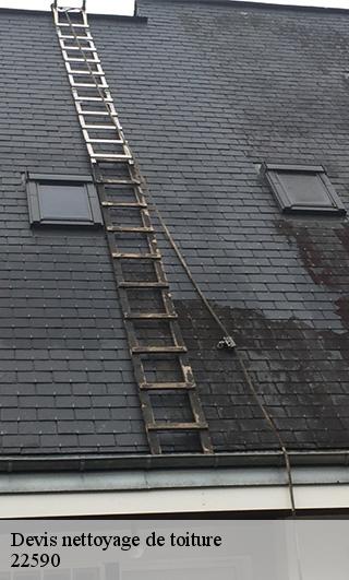 Devis nettoyage de toiture  22590