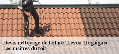 Devis nettoyage de toiture 22660